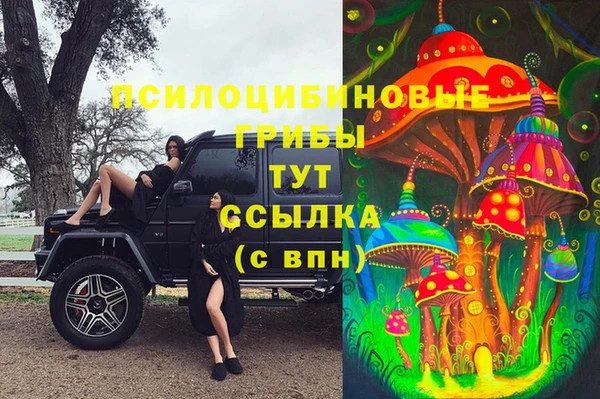 прущие крисы Инсар