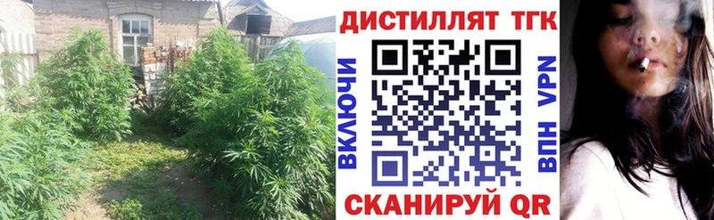 мега как войти Щигры ТГК THC oil