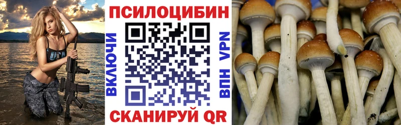 Псилоцибиновые грибы прущие грибы  Щигры 
