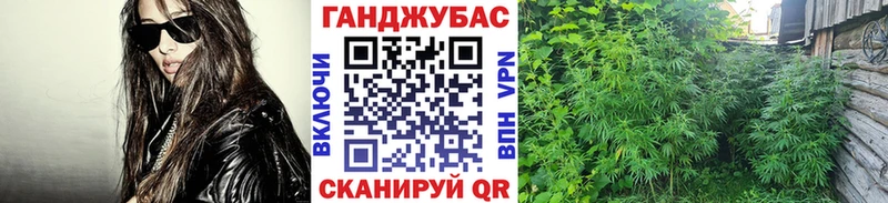 omg как войти  Щигры  Марихуана ГИДРОПОН 